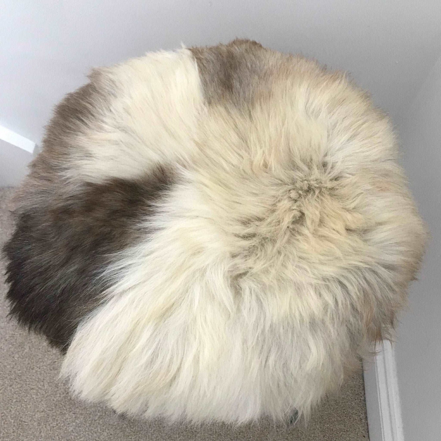 100% Genuine Real Sheepskin Seat Pad British Roundie 35cm Cream / Light Browns - ScentiMelti Home Fragrance, Beauty & Gifts UK