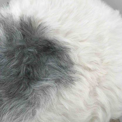 100% Real Sheepskin Seat Pad Icelandic Roundie 35cm Creams / Greys Shorn 50mm UK - ScentiMelti Home Fragrance, Beauty & Gifts UK