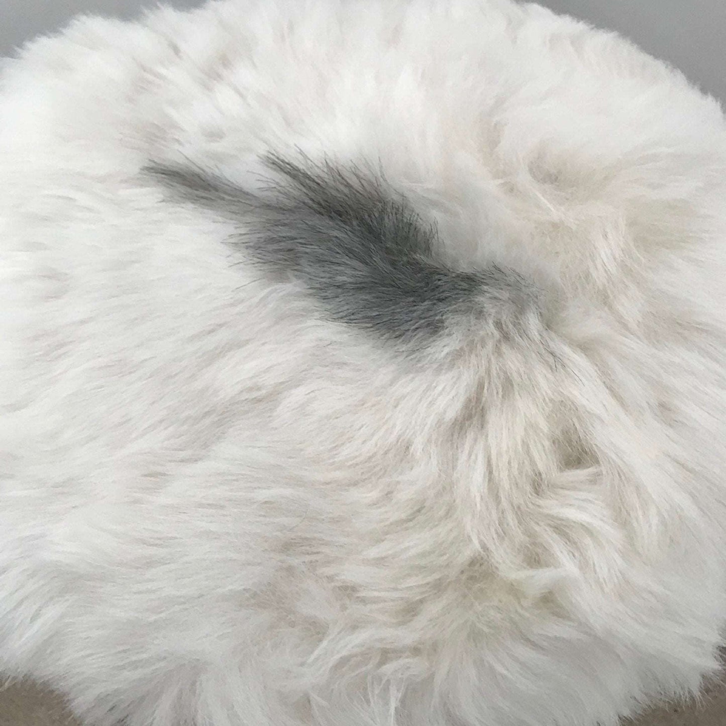 100% Real Sheepskin Seat Pad Icelandic Roundie 35cm Creams / Greys Shorn 50mm UK - ScentiMelti Home Fragrance, Beauty & Gifts UK