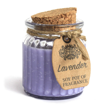 Pack of 2 x Lavender Soy Pot of Fragrance Candles - ScentiMelti  Pack of 2 x Lavender Soy Pot of Fragrance Candles