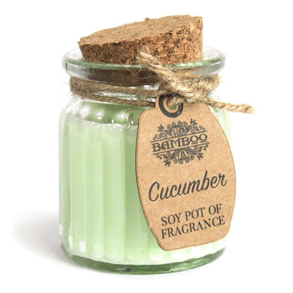 Pack of 2 x Cucumber Soy Pot of Fragrance Candles - ScentiMelti  Pack of 2 x Cucumber Soy Pot of Fragrance Candles