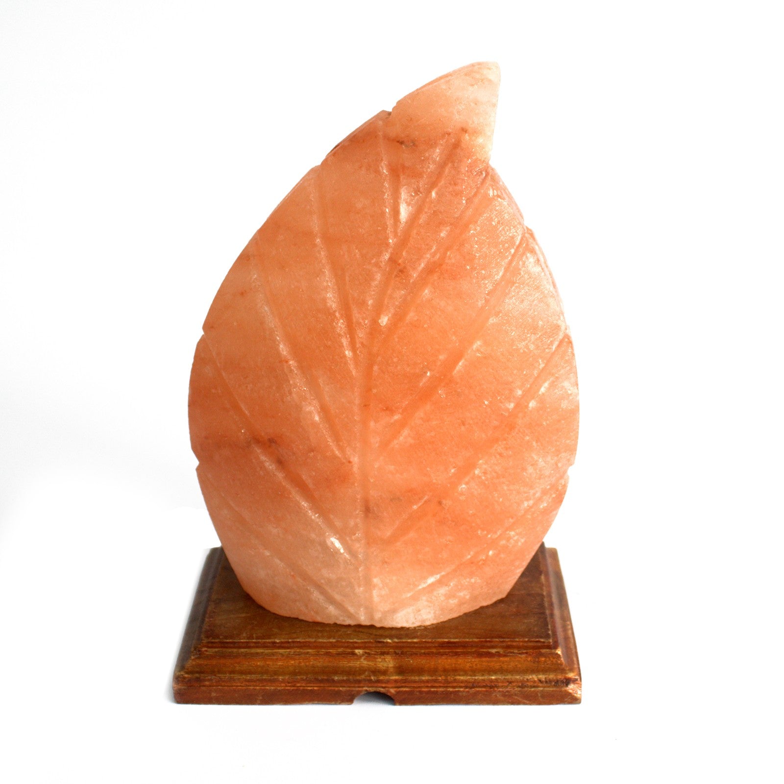 Shape Salt Lamp - Fern - ScentiMelti  Shape Salt Lamp - Fern