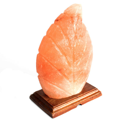 Shape Salt Lamp - Fern - ScentiMelti  Shape Salt Lamp - Fern