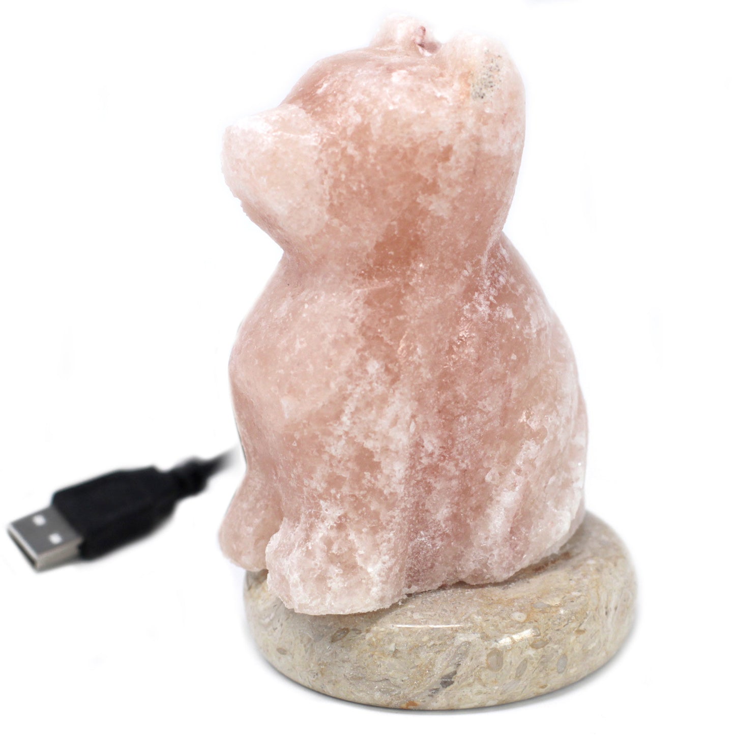 USB Dog Shaped (Multi) - ScentiMelti  USB Dog Shaped (Multi)