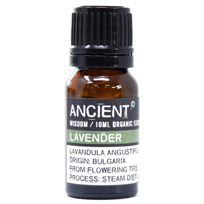 Lavender Organic Essential Oil 10ml - ScentiMelti  Lavender Organic Essential Oil 10ml