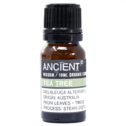 Tea Tree Organic Essential Oil 10ml - ScentiMelti  Tea Tree Organic Essential Oil 10ml