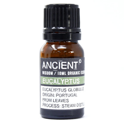 Eucalyptus Organic Essential Oil 10ml - ScentiMelti  Eucalyptus Organic Essential Oil 10ml