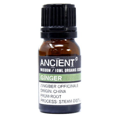 Ginger Organic Essential Oil 10ml - ScentiMelti  Ginger Organic Essential Oil 10ml