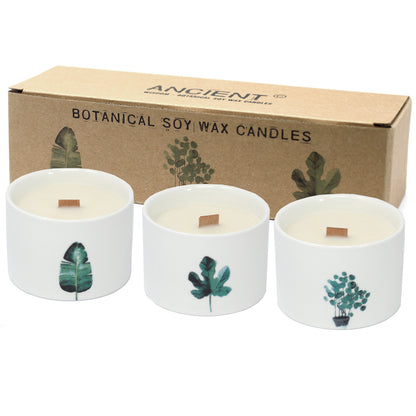 Med Botanical Candles - Japanese Garden - ScentiMelti  Med Botanical Candles - Japanese Garden