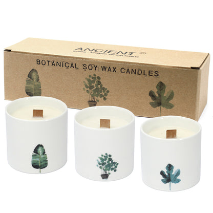 Large Botanical Candles - Wild Jasmine - ScentiMelti  Large Botanical Candles - Wild Jasmine