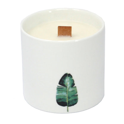 Large Botanical Candles - Wild Jasmine - ScentiMelti  Large Botanical Candles - Wild Jasmine