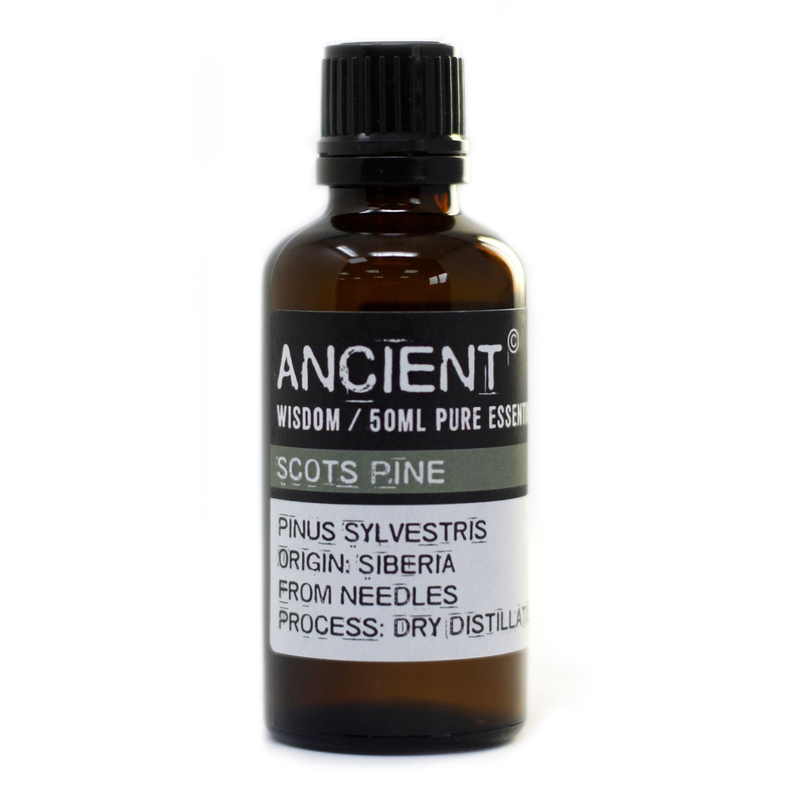 Pine Sylvestris (Scots Pine) 50ml - ScentiMelti  Pine Sylvestris (Scots Pine) 50ml