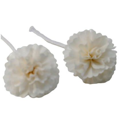 Natural Diffuser Flowers - Med Carnation on String - ScentiMelti  Natural Diffuser Flowers - Med Carnation on String