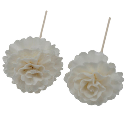 Natural Diffuser Flowers - Carnation on Reed - ScentiMelti  Natural Diffuser Flowers - Carnation on Reed