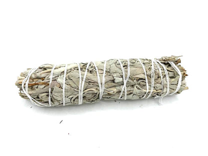 Smudge Stick - White Sage 15cm - ScentiMelti  Smudge Stick - White Sage 15cm