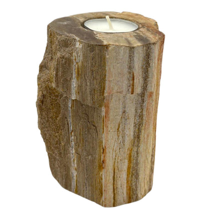 Petrified Wood Candle Holder - Single Tall - ScentiMelti  Petrified Wood Candle Holder - Single Tall