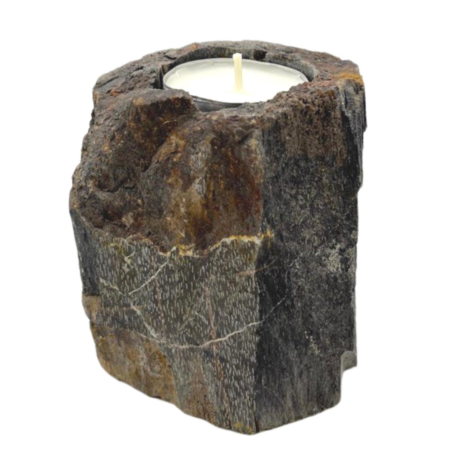 Petrified Wood Candle Holder - Single Low - ScentiMelti  Petrified Wood Candle Holder - Single Low