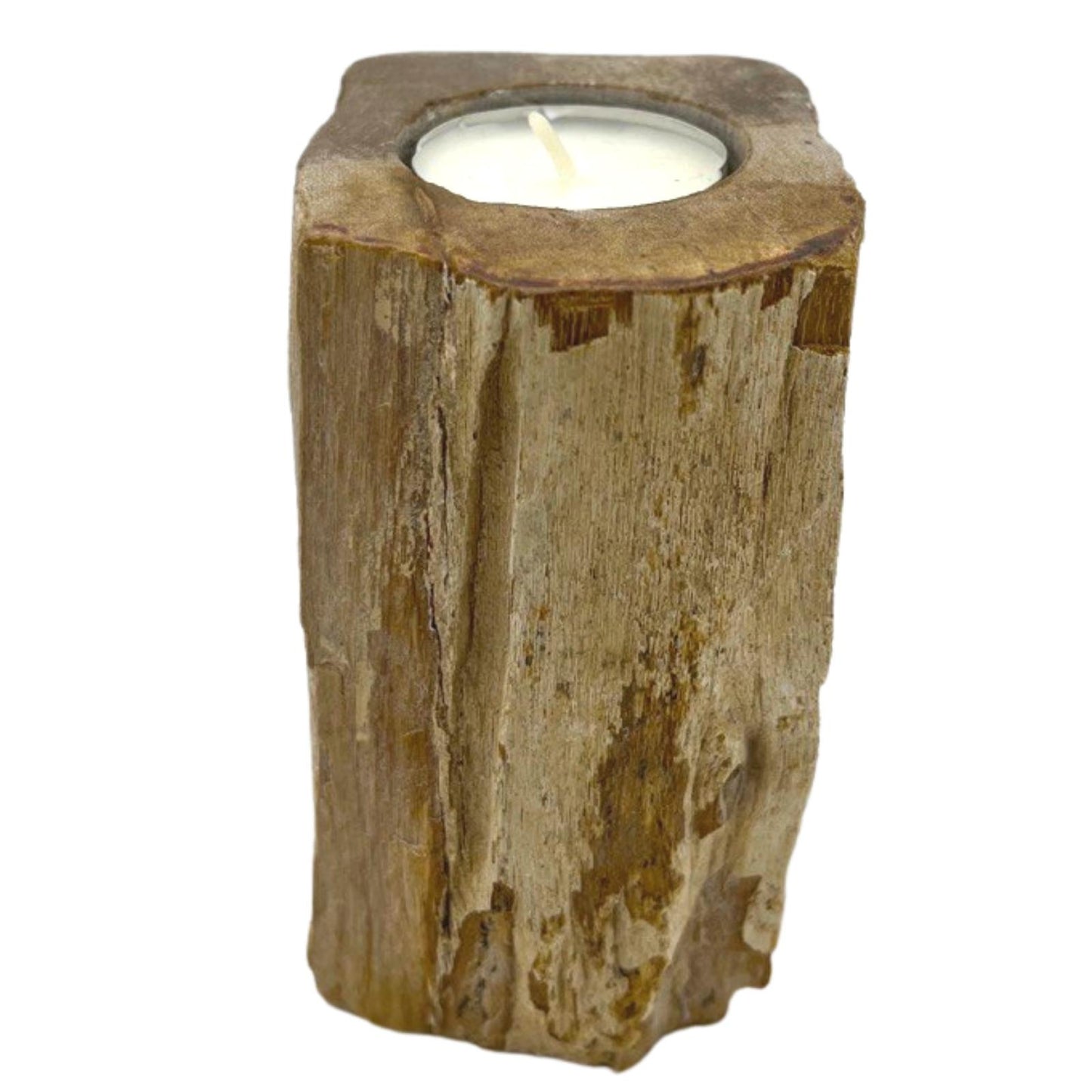 Petrified Wood Candle Holder - Single Tall - ScentiMelti  Petrified Wood Candle Holder - Single Tall