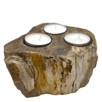 Petrified Wood Candle Holder - Triple - ScentiMelti  Petrified Wood Candle Holder - Triple