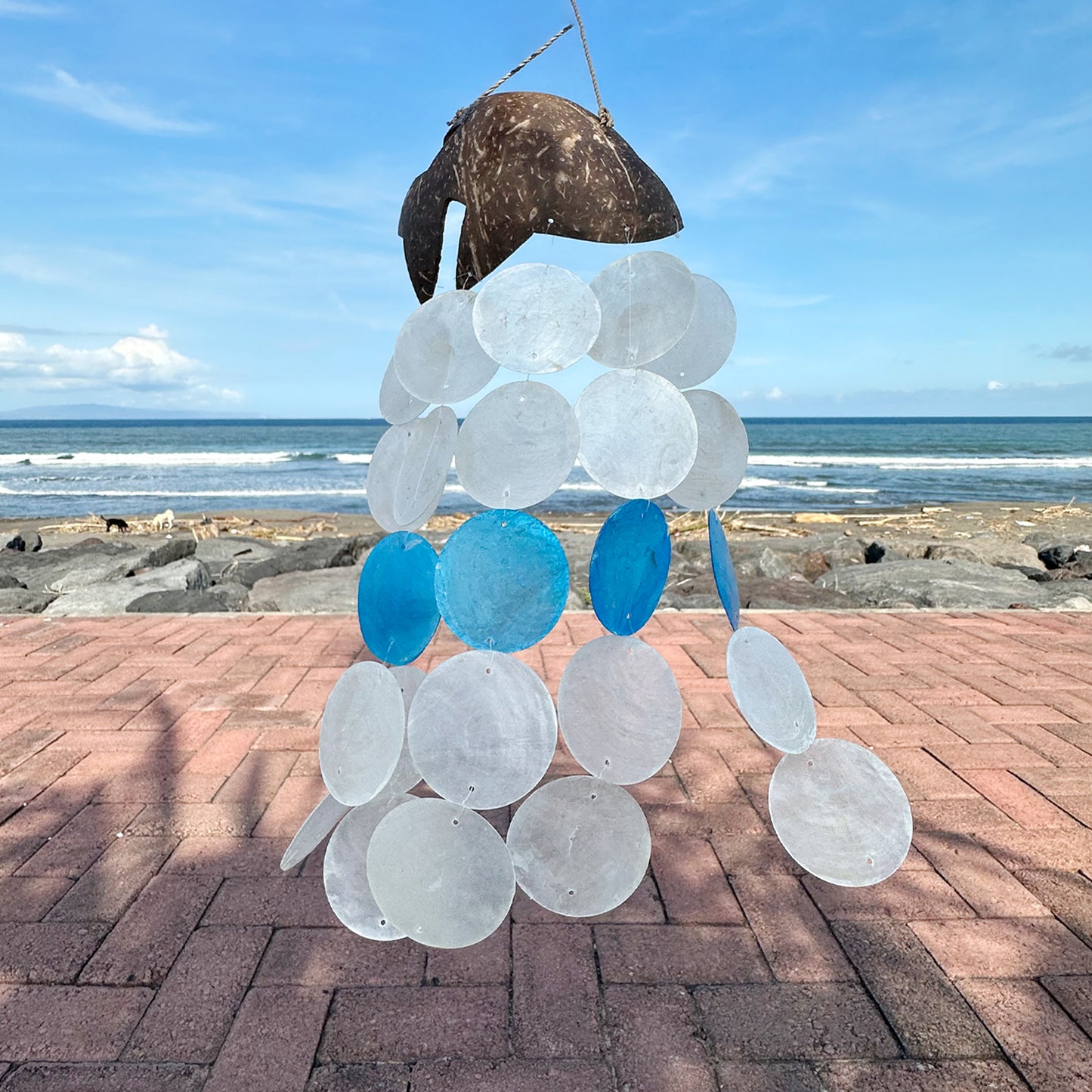 Coconut & Capiz Windchimes - Blue Dolphins - 30cm - ScentiMelti  Coconut & Capiz Windchimes - Blue Dolphins - 30cm