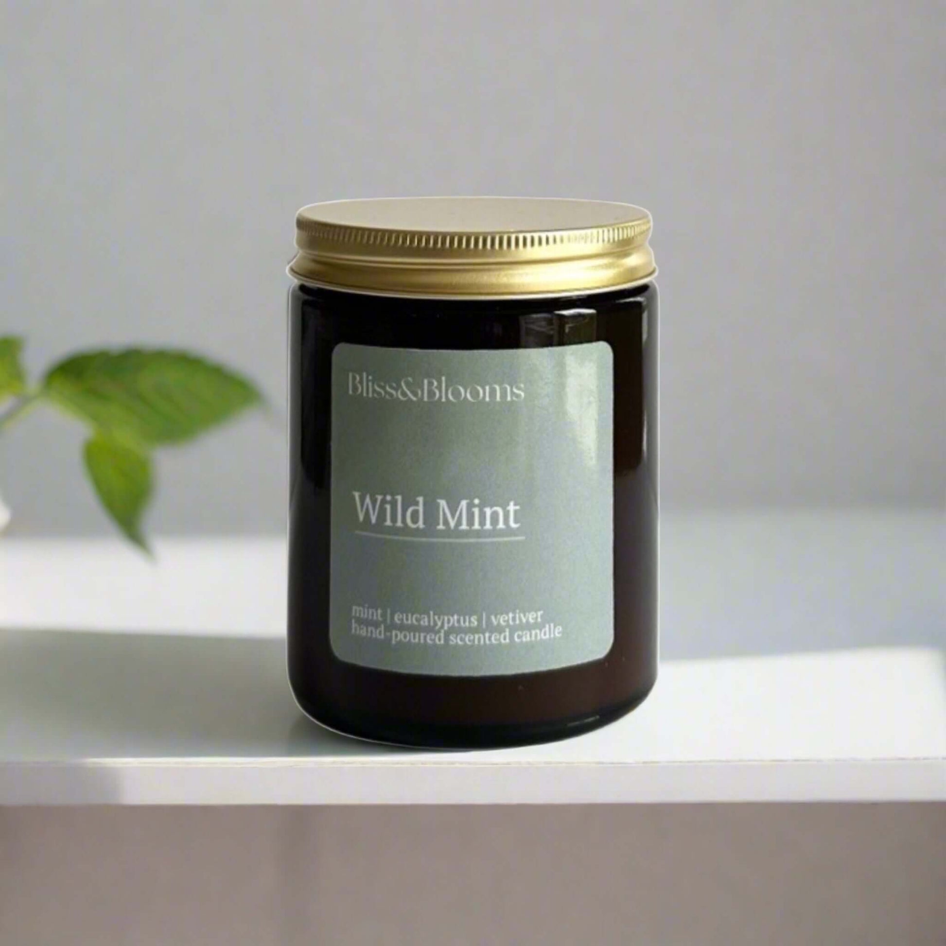 Wild Mint Scented Candle - ScentiMelti Home Fragrance, Beauty & Gifts UK