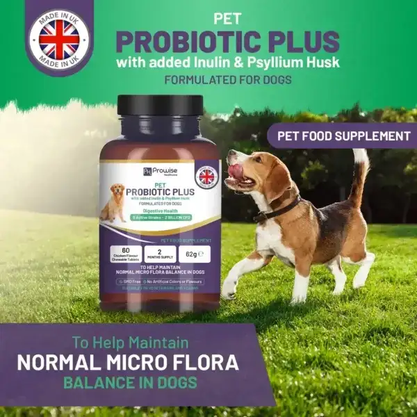 Pet Probiotic Plus with Added Inulin & Psyllium Husk 2 Billion CFU with 5 Active Strains I 60 Chicken Flavour Chewable Tablets 2 Months Supply - ScentiMelti  Pet Probiotic Plus with Added Inu