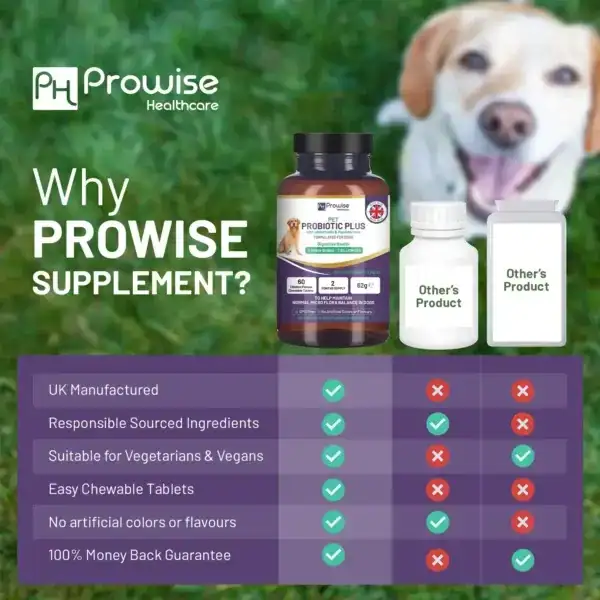 Pet Probiotic Plus with Added Inulin & Psyllium Husk 2 Billion CFU with 5 Active Strains I 60 Chicken Flavour Chewable Tablets 2 Months Supply - ScentiMelti  Pet Probiotic Plus with Added Inu