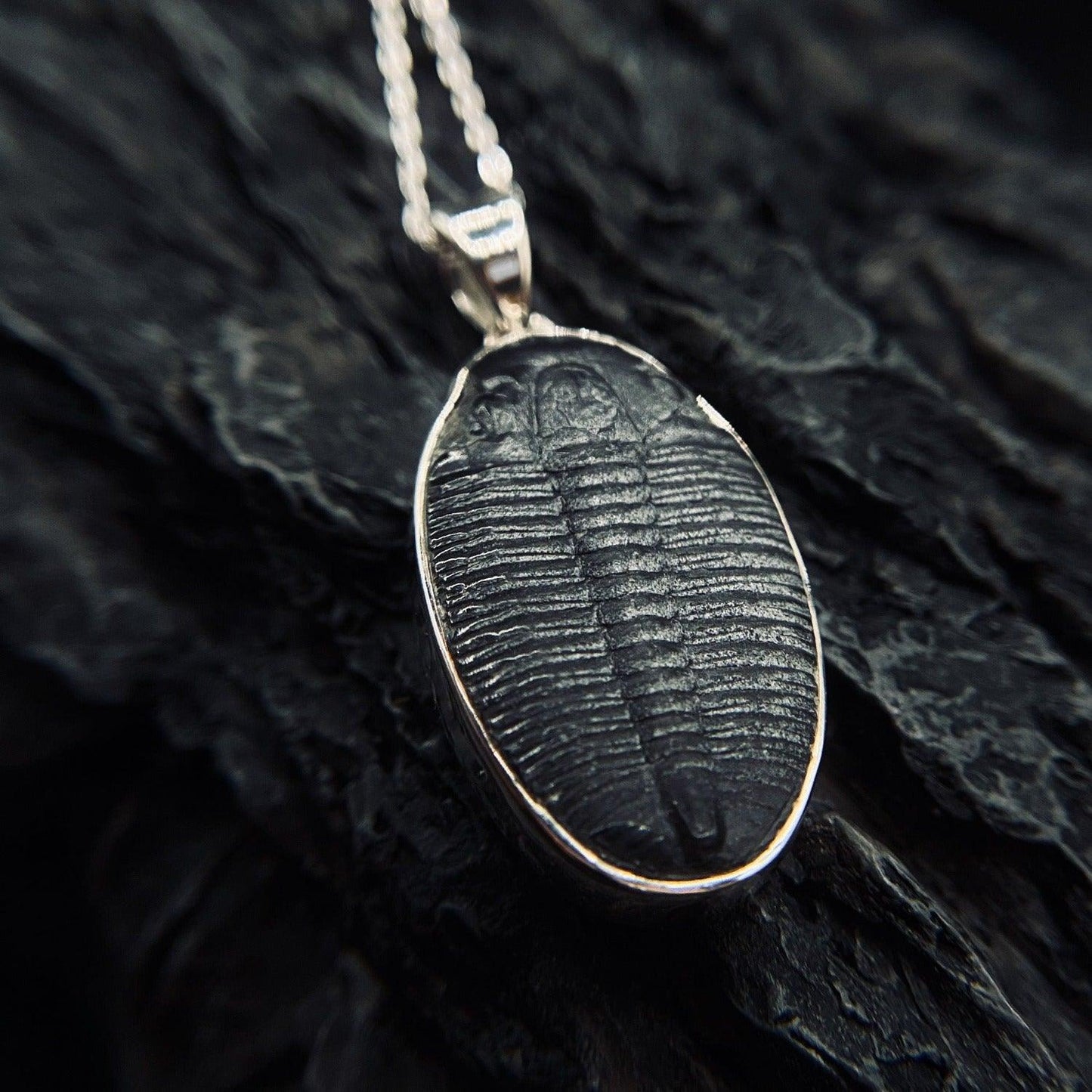 Trilobite Pendant Black Feather Design ScentiMelti Wax Melts