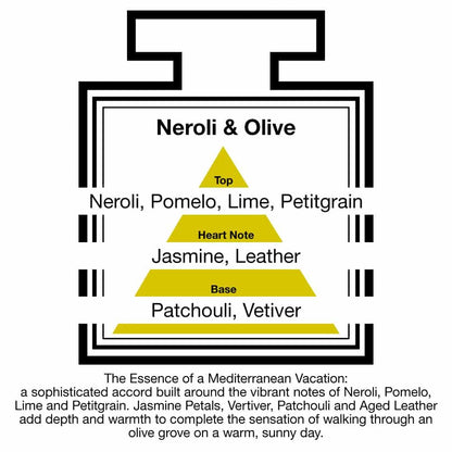 Pairfum London Luxury Reed Diffuser Classic Neroli & Olive 100ml +10 Reeds - ScentiMelti  Pairfum London Luxury Reed Diffuser Classic Neroli & Olive 100ml +10 Reeds