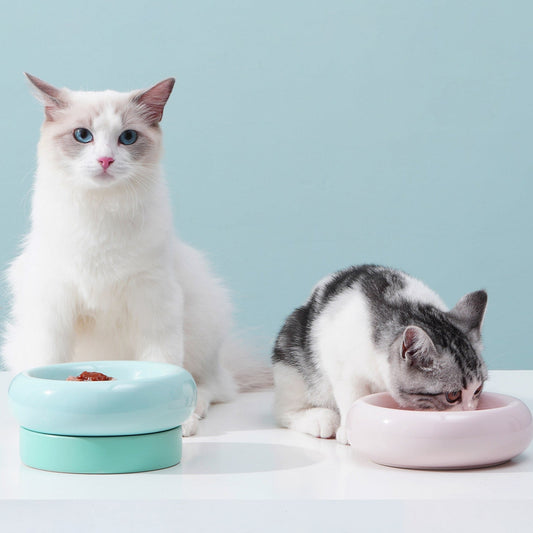 YUMMY 2in1 makesure cat bowls–food&water-anti-vomiting, protect spine makesurepet ScentiMelti Wax Melts