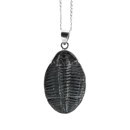 Trilobite Pendant Black Feather Design ScentiMelti Wax Melts