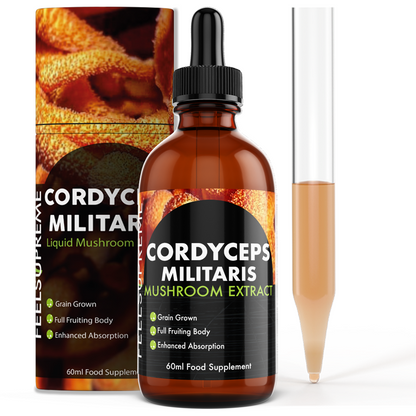 Cordyceps Militaris Mushroom Liquid Extract Feel Supreme ScentiMelti Wax Melts