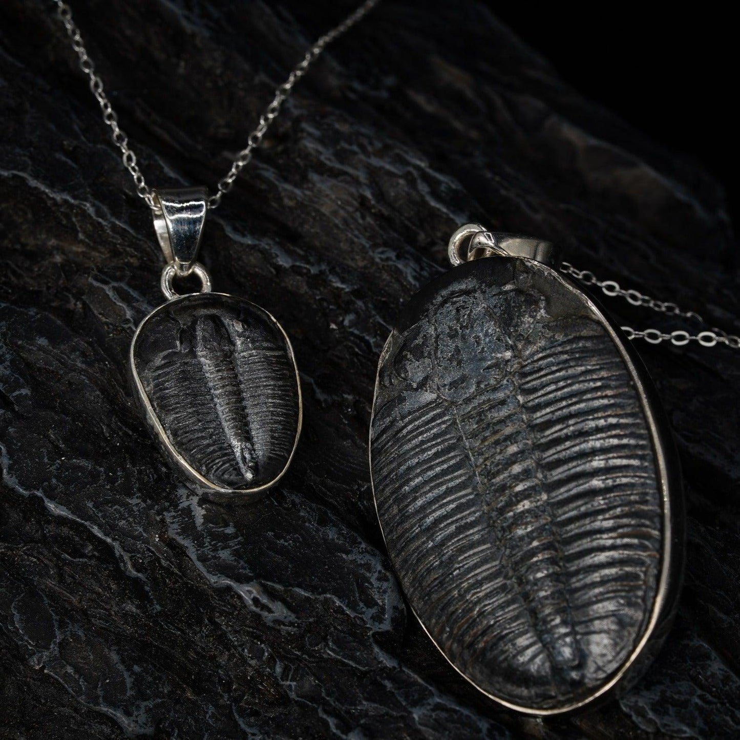 Trilobite Pendant Black Feather Design ScentiMelti Wax Melts