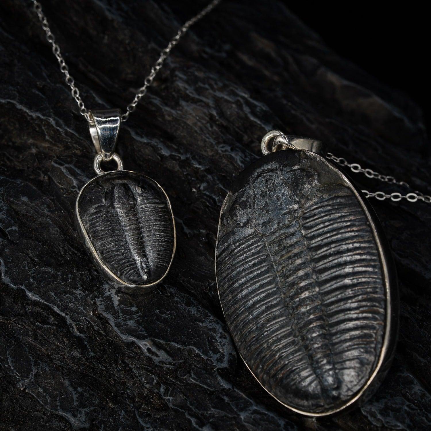 Trilobite Pendant Black Feather Design ScentiMelti Wax Melts