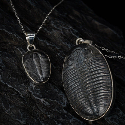 Trilobite Pendant Black Feather Design ScentiMelti Wax Melts