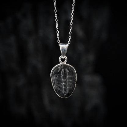 Trilobite Pendant Black Feather Design ScentiMelti Wax Melts