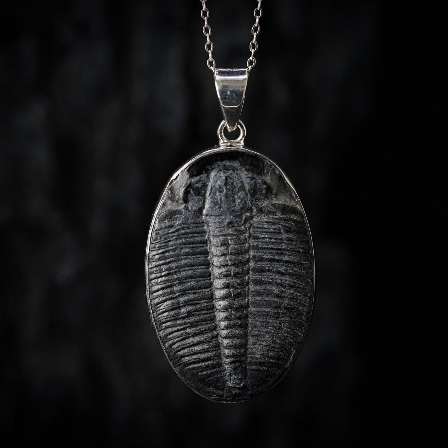 Trilobite Pendant Black Feather Design ScentiMelti Wax Melts