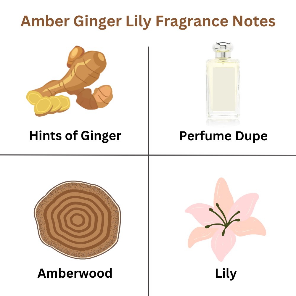 DARK AMBER GINGER LILY JM Inspired Luxury Scented Upholstery Carpet Freshener 250g - ScentiMelti Home Fragrance, Beauty & Gifts UK