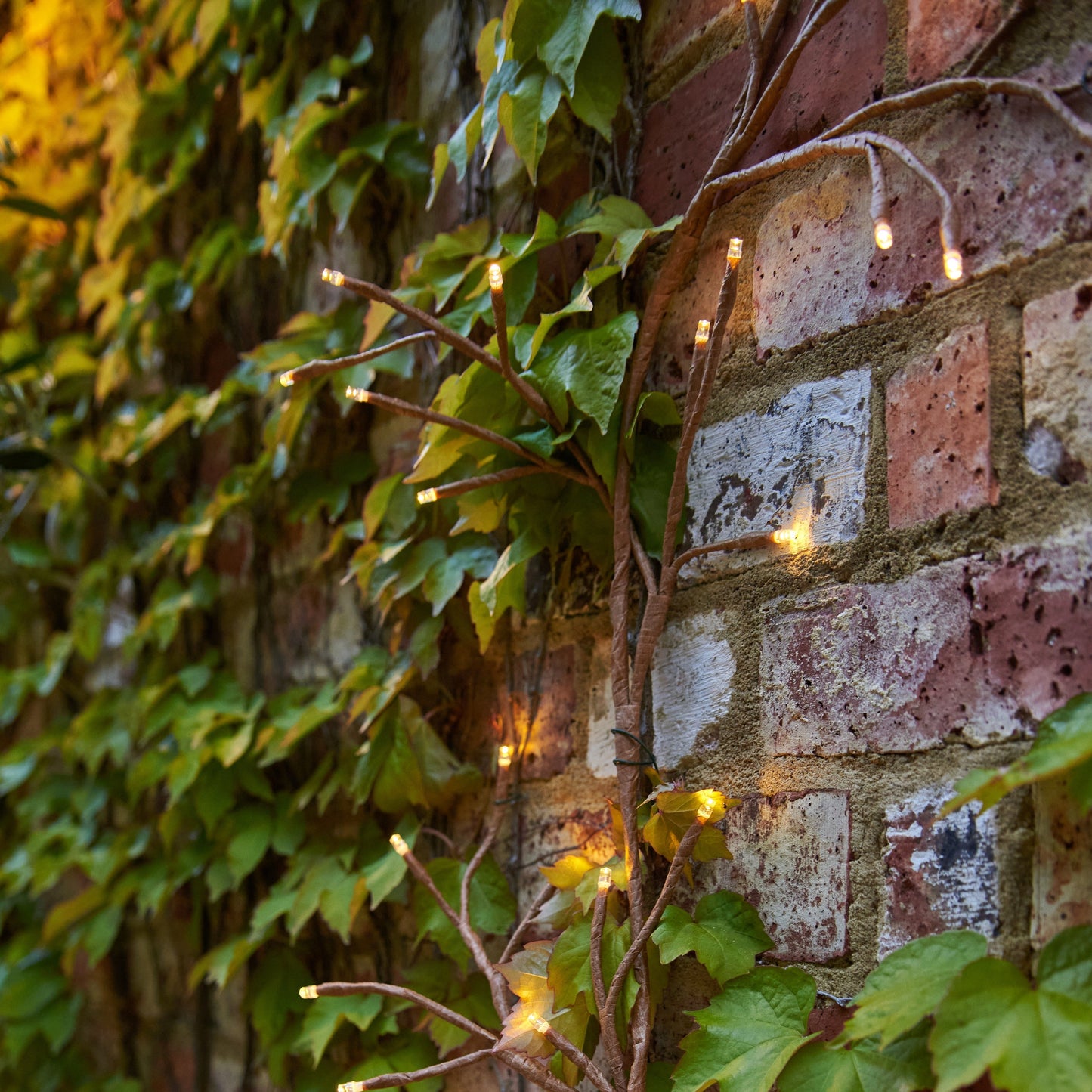 Solar LED Climbing Ivy Branch Light www.ellajames.co.uk ScentiMelti Wax Melts