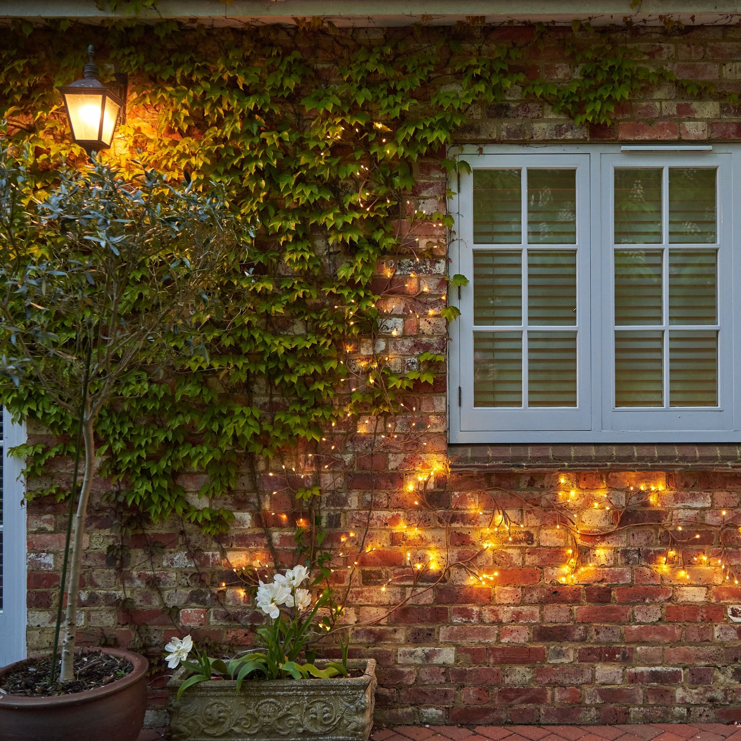 Solar LED Climbing Ivy Branch Light www.ellajames.co.uk ScentiMelti Wax Melts