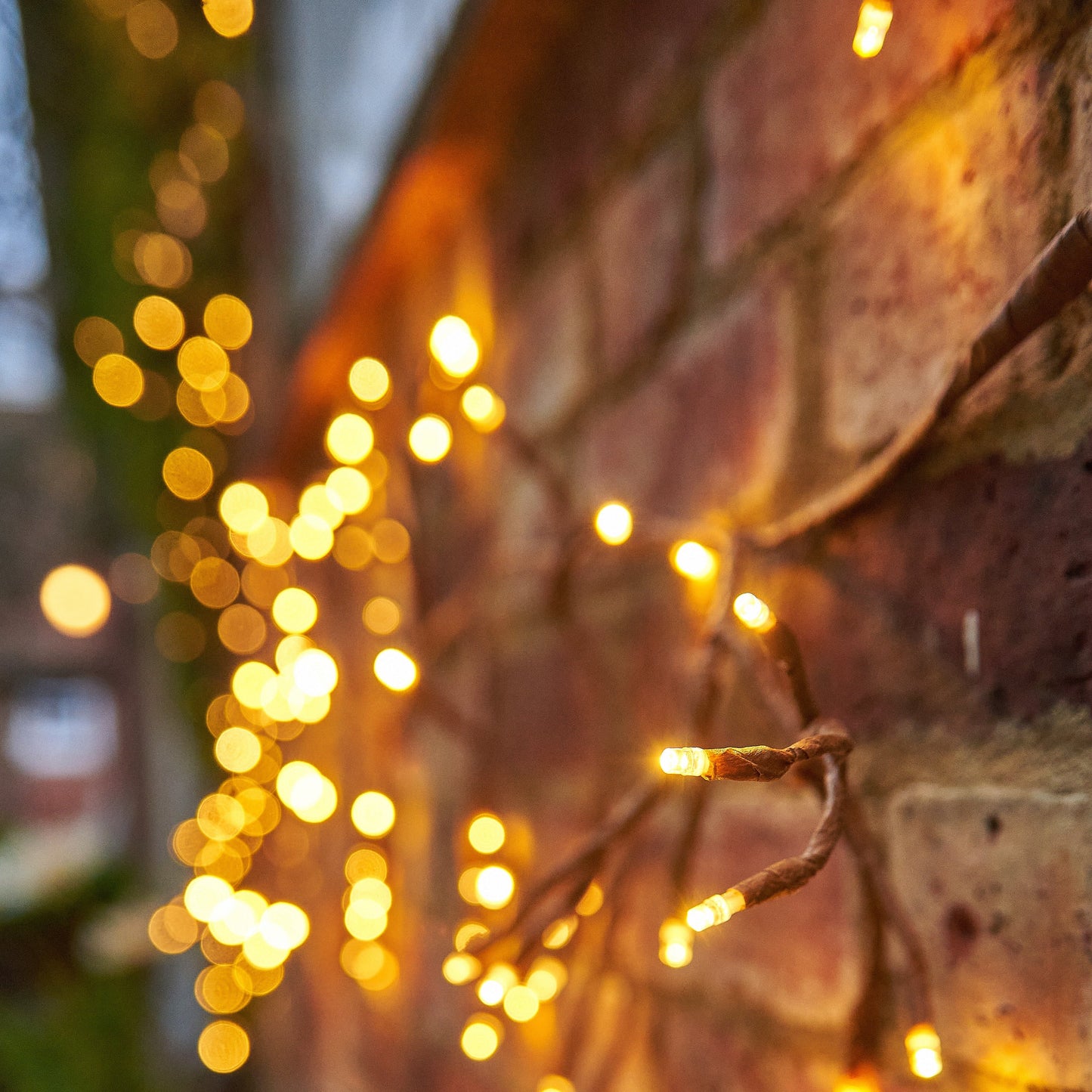 Solar LED Climbing Ivy Branch Light www.ellajames.co.uk ScentiMelti Wax Melts