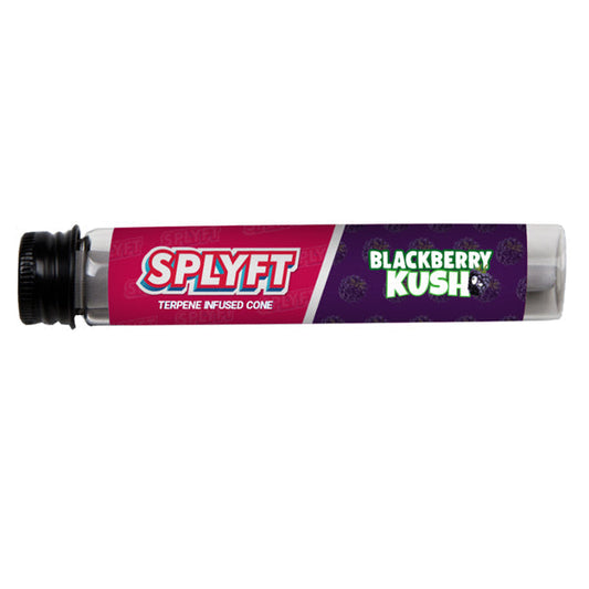 SPLYFT Cannabis Terpene Infused Rolling Cones – Blackberry Kush (BUY 1 GET 1 FREE) - ScentiMelti Home Fragrance, Beauty & Gifts UK