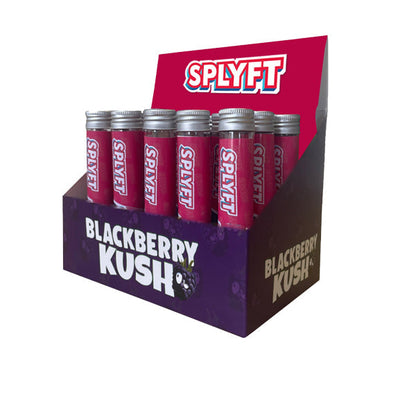 SPLYFT Cannabis Terpene Infused Rolling Cones – Blackberry Kush (BUY 1 GET 1 FREE) - ScentiMelti Home Fragrance, Beauty & Gifts UK