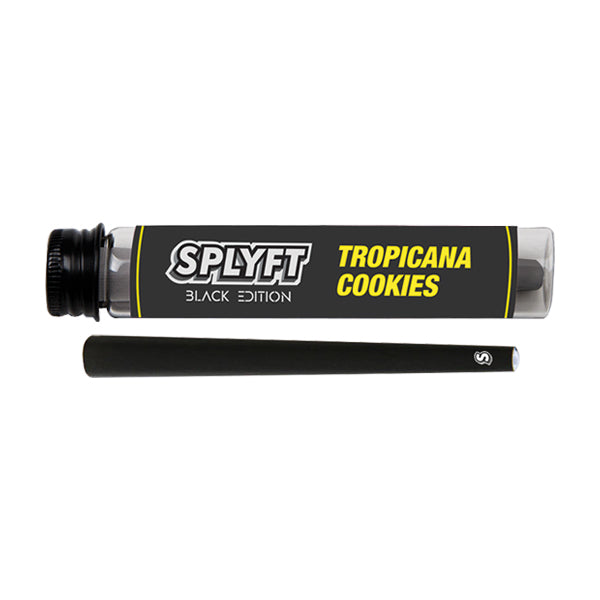 SPLYFT Black Edition Cannabis Terpene Infused Cones – Tropicana Cookies (BUY 1 GET 1 FREE) - ScentiMelti Home Fragrance, Beauty & Gifts UK