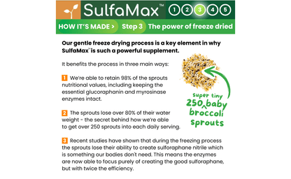 🌱 SulfaMax™  |  1 Month Supply of the best organic sulforaphane supplement SulfaMax ScentiMelti Wax Melts