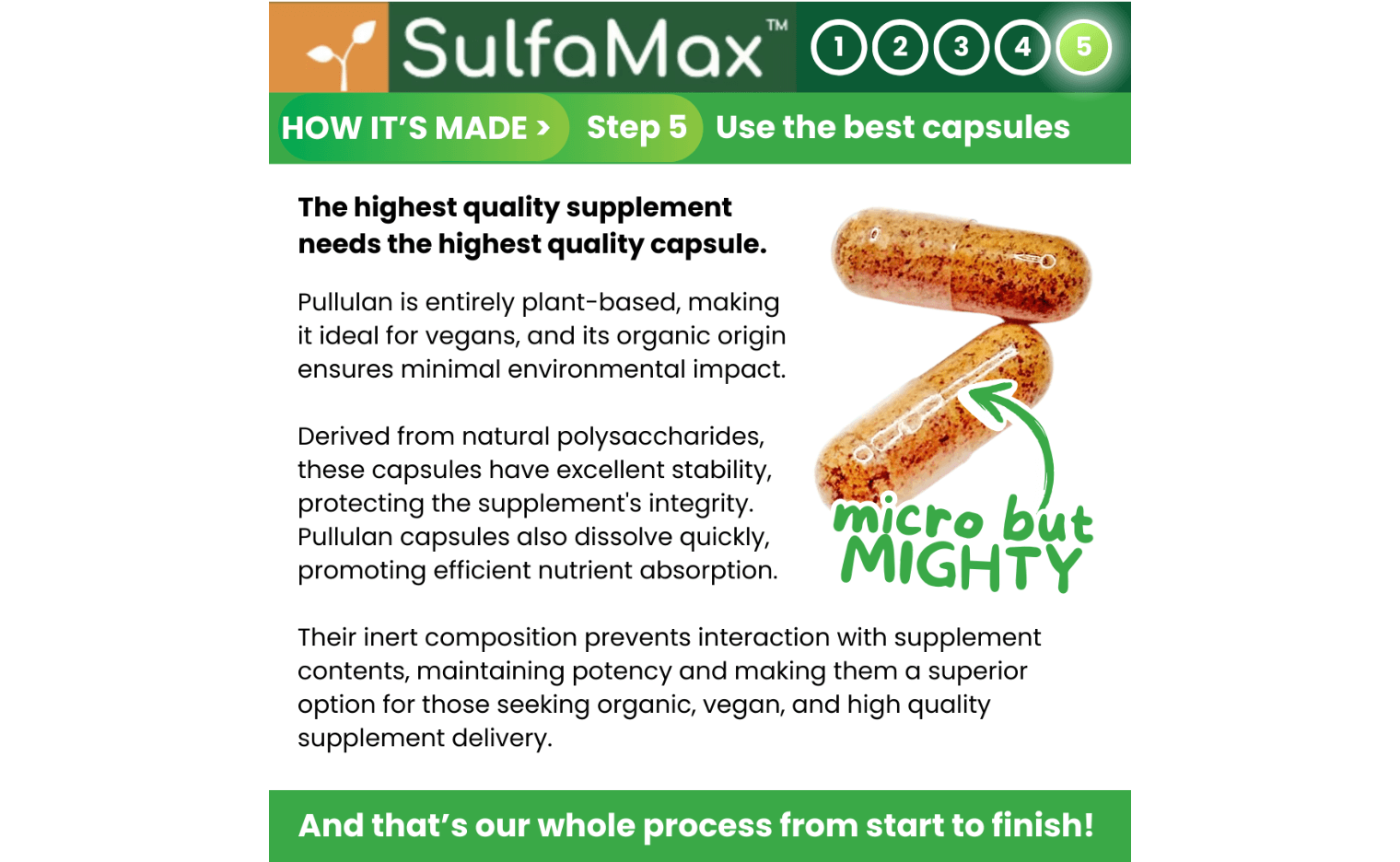 🌱 SulfaMax™  |  1 Month Supply of the best organic sulforaphane supplement SulfaMax ScentiMelti Wax Melts