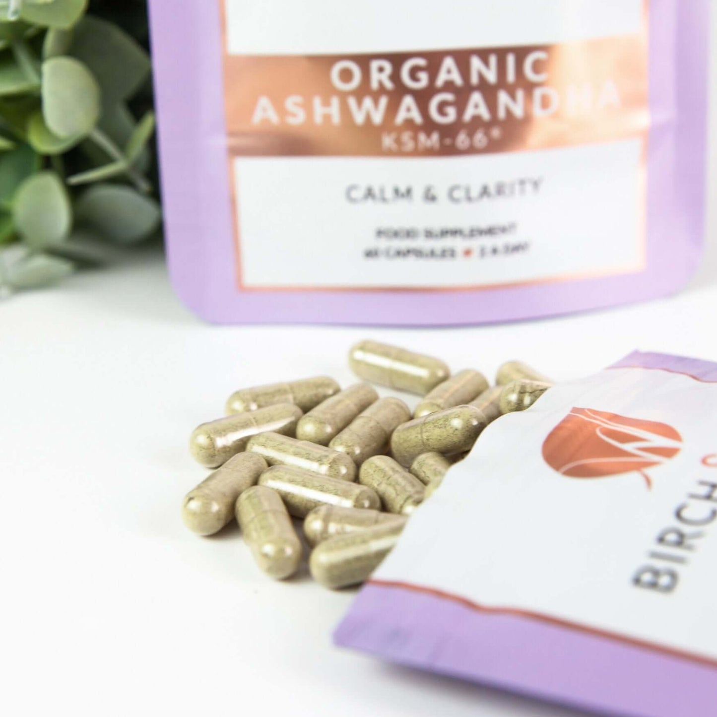 Organic Ashwagandha KSM-66 Capsules | 600mg dose | Bottle or Refill pouch Birch & Wilde ScentiMelti Wax Melts