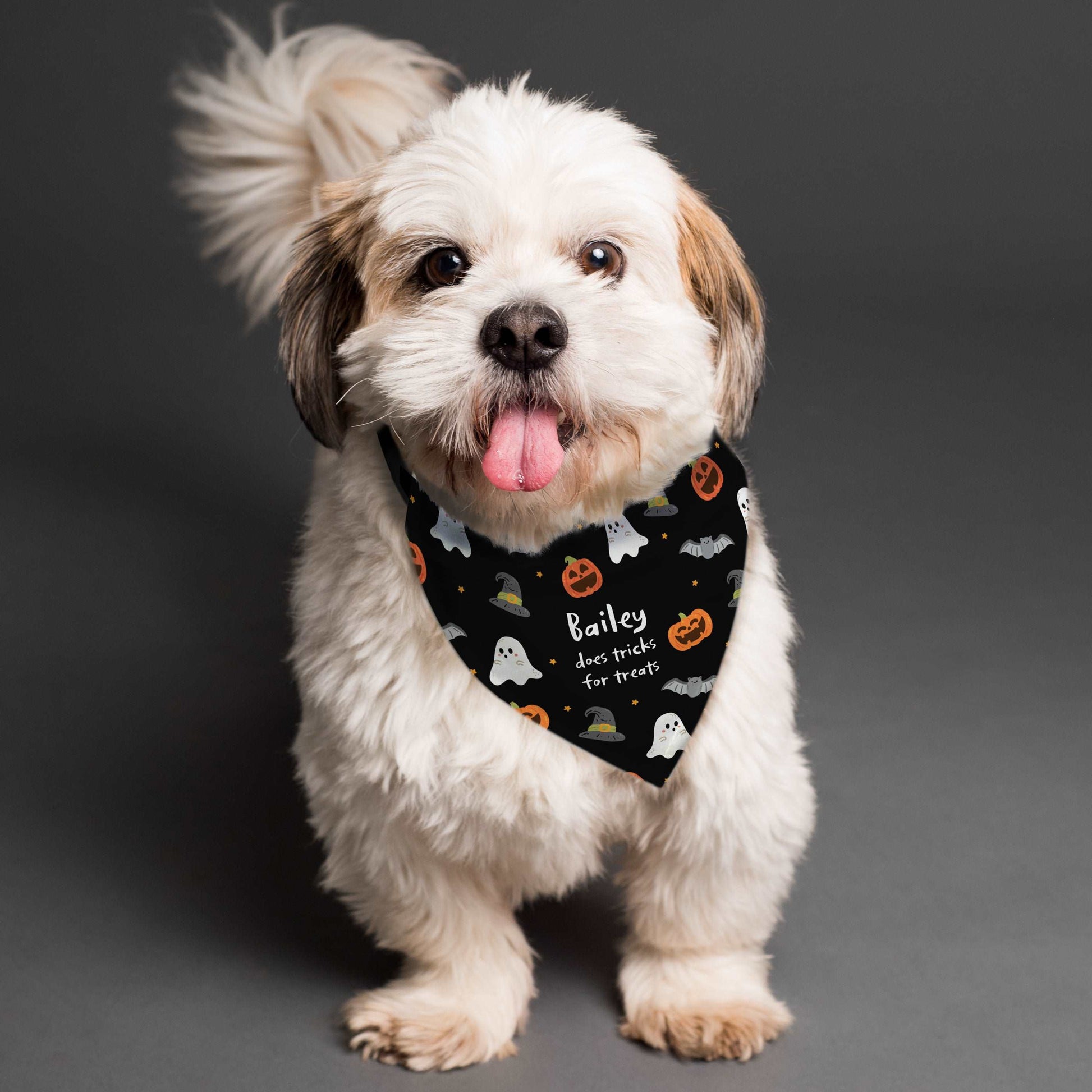 Halloween Dog Bandana - ScentiMelti Home Fragrance, Beauty & Gifts UK