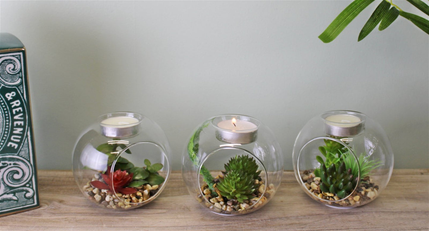 Succulent In Glass Terrarium with TeaLight Holder Billies Inks ScentiMelti Wax Melts