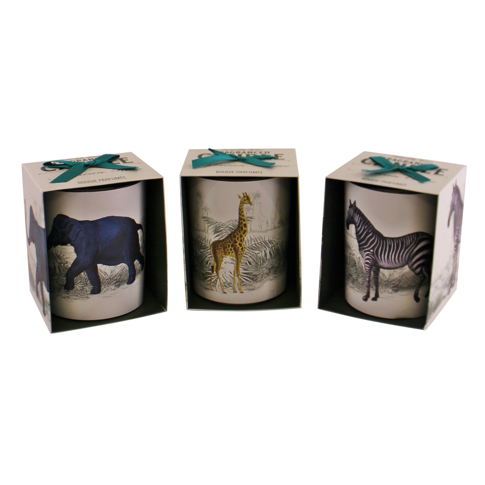 Set of 3 Tropical Safari Candlepots - ScentiMelti Home Fragrance, Beauty & Gifts UK